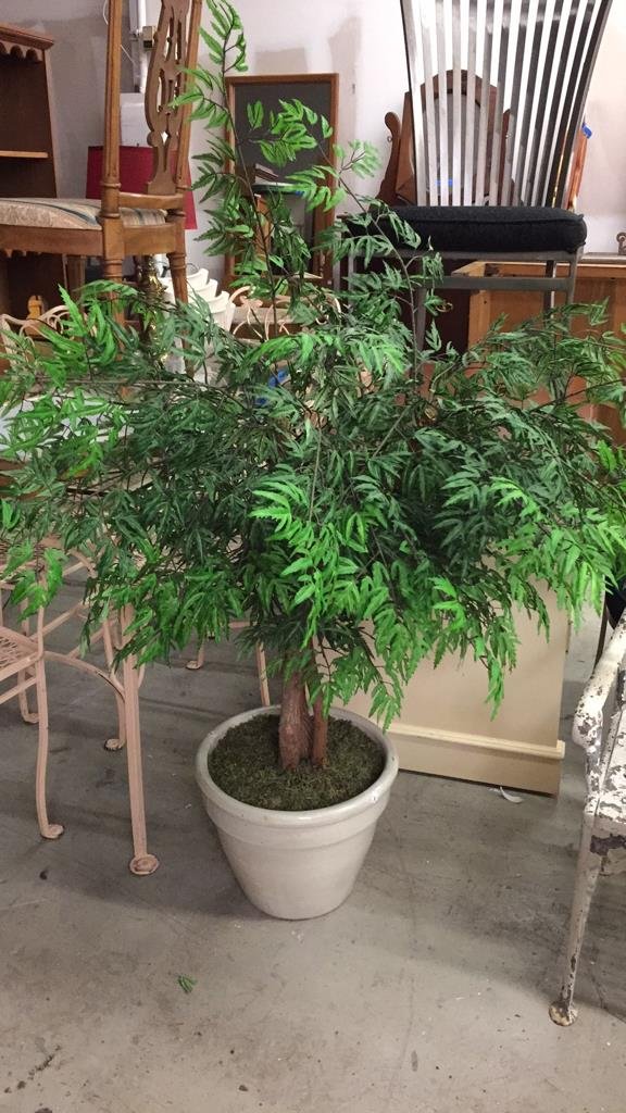 Artificial Tree in Ceramic Planter (1 of 5)