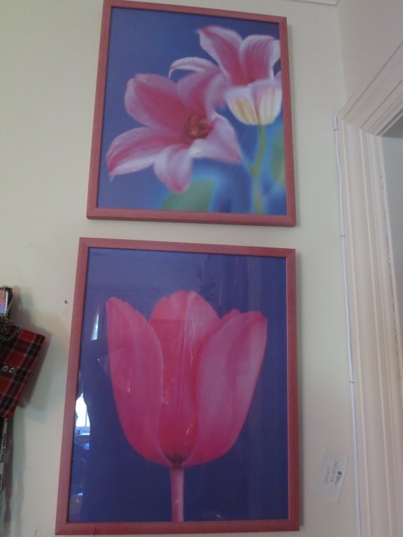 Set of Three Flower Acrylics (1 of 3)