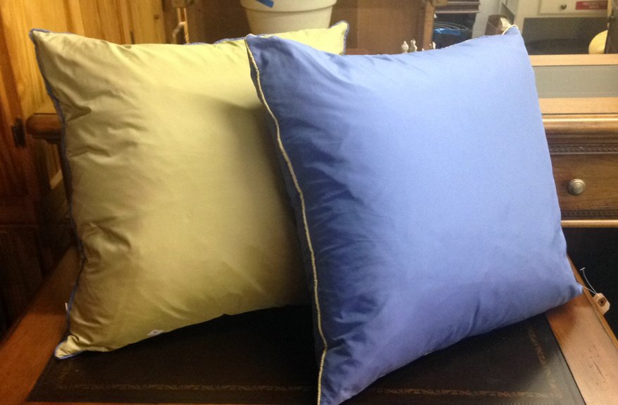 Two Silk and Down Pillows (1 of 7)