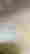 item-45707009=10