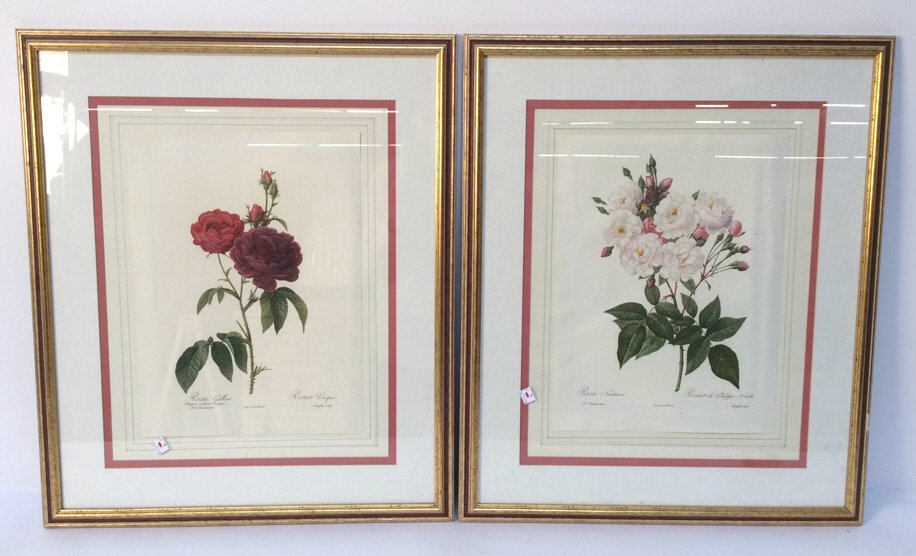 Pair Gold Framed Flower P.J. Redoute Prints Pair Gold (1 of 9)