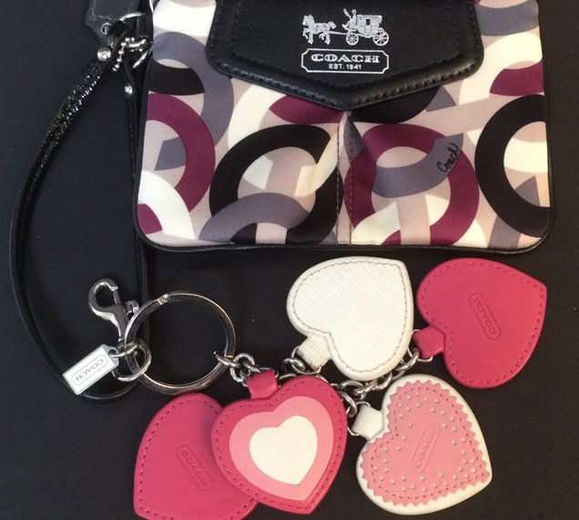 Coach  Wristlet and coach leather key chain (1 of 10)