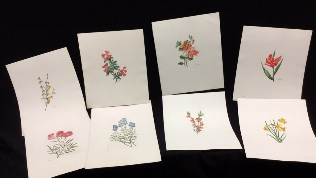 8 Signed Colored Lithographs Made By J Plank (1 of 6)