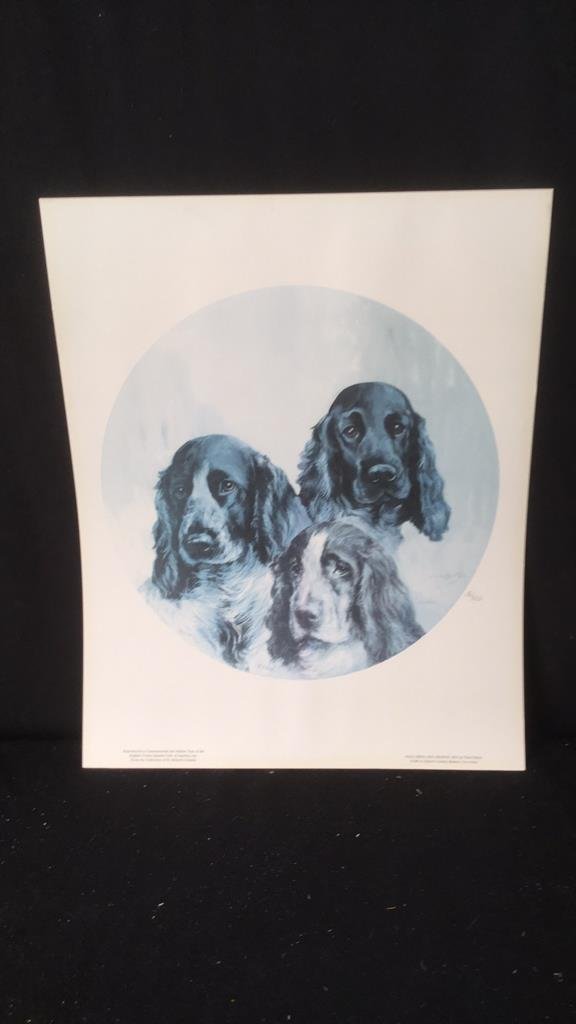 Cocker Spaniel Club Jubilee Year Print (1 of 7)