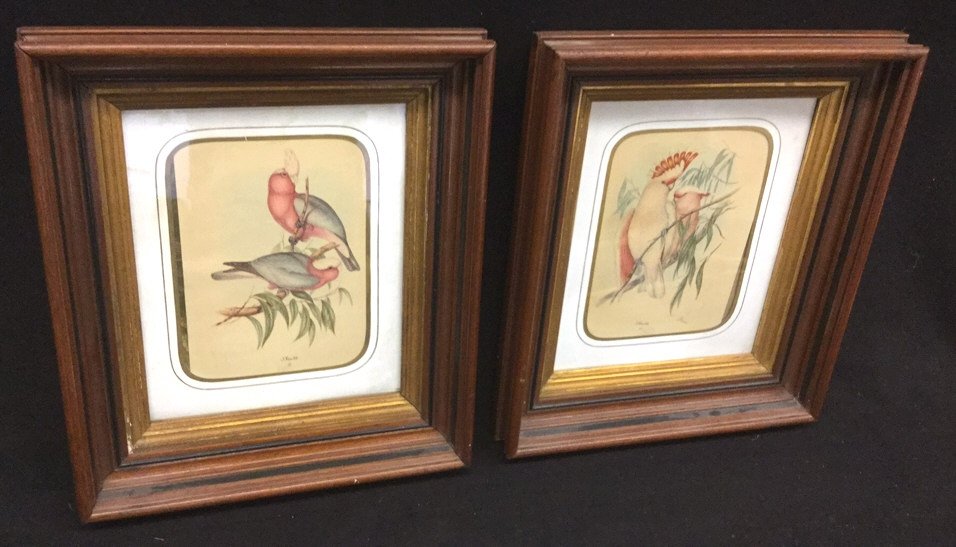Pair of J. Sould Cockatiel and Cockatoo Prints (1 of 6)