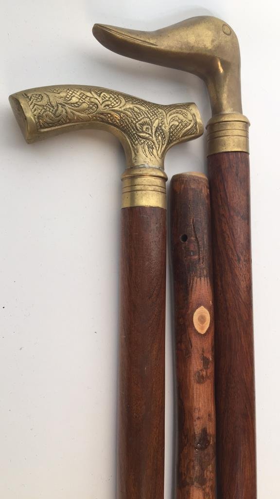 Group of Three Walking Sticks (1 of 6)