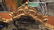 Ornate Victorian Carved Gold Leaf Mirror - 5