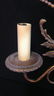 Pair Rose Copper Color Sconces - 6