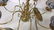 Colonial Style Brass 8 Arm Chandelier - 8