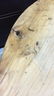 Rustic Pine Hand Planed Round Coffee Table - 5