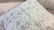 Pair Plush Decorative Throw Pillows - 4