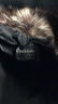 CHARLEBOIS FURS Mink Coat - 5