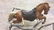 Vintage Style Rocking Horse - 3