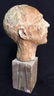 Unsigned Male Bust on Wood Block - 5