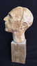 Unsigned Male Bust on Wood Block - 6