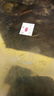 Tea Service and Trays - 6