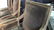 Set Of Six RESTORATION HARDWARE Dining Chairs - 4