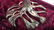Signed Gold & Silver Finished Menorah - 6