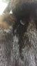 Full Length Black Mink Coat - 7