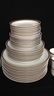 50+ Piece ROSENTHAL BOTTICELLI Serving Set - 3