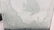 Group Lot Undersea Life Etched Glass Panels - 7