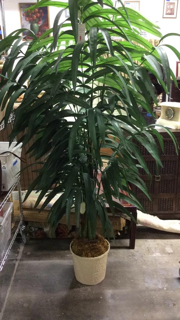 Decorative Potted Palm Tree (1 of 5)