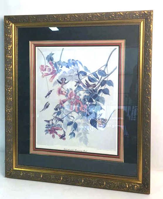 Large Botanical RUBY-THROATED HUMMING BIRD (1 of 8)