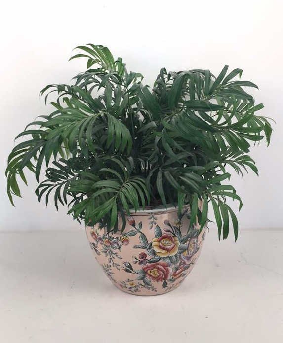 Asian Coy Pot Planter Faux Fern House Plant (1 of 8)