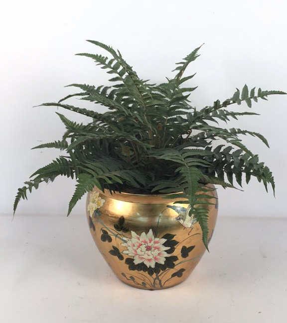 Asian Style Coy Pot Faux Plant House Plant (1 of 8)