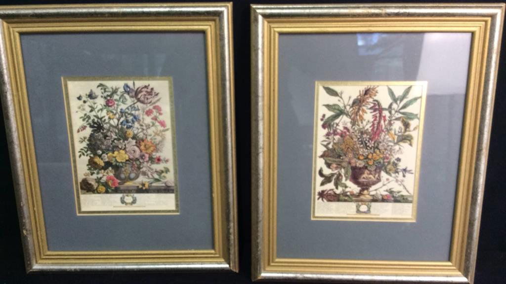 Pair Framed Botanicals (1 of 10)