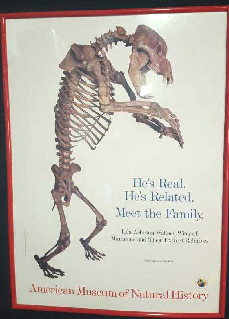 Framed Museum of Natural History Poster Framed Museum (1 of 6)