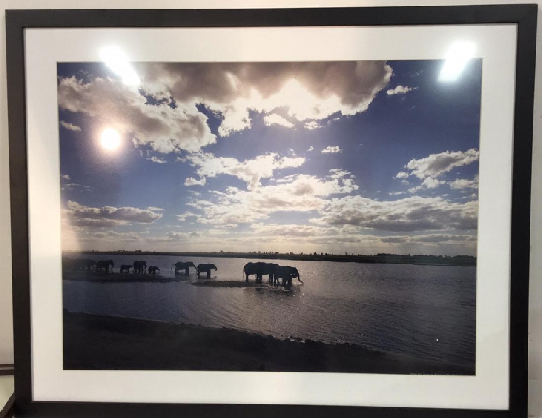 Framed Print Of Herd Of Elephants On The Edge (1 of 6)