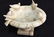 Antique Marble and Bronze Statues - 10