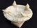 Antique Marble and Bronze Statues - 11