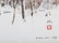 Chen Chi, Watercolor, 'Winter Trees', 1969 - 3