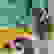 item-33512995=6