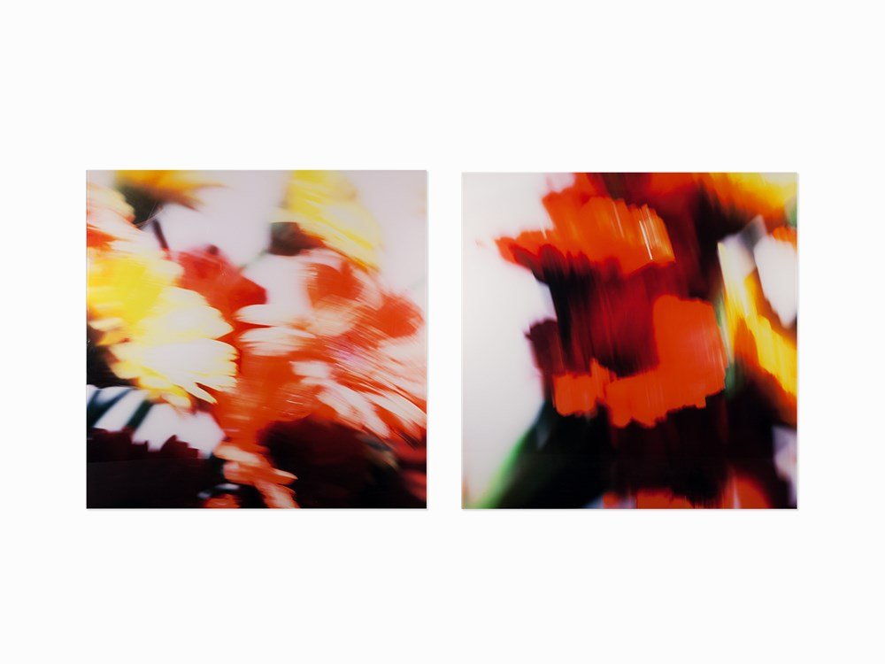Roberto Dutesco, FL-12 and FL-10, 2 Chromogenic Prints,: Two chromogenic prints face-mounted to diasec, mounted to aluminum USA, 2007 Roberto Dutesco (b. 1961) – Romanian/Canadian photographer, artist and filmmaker Each signed and dated in gold ink verso