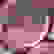item-57660235=5