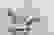 item-78150312=3