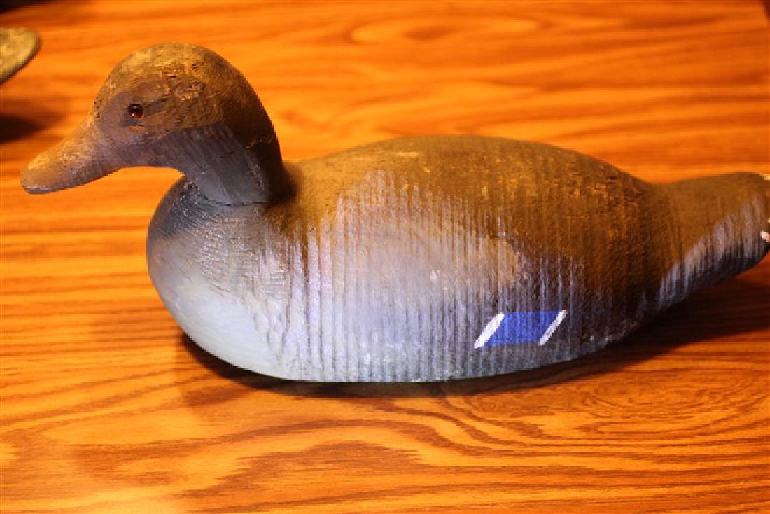 Animal Trap Co., Pascagoula, MS, glass eyes, weight & (1 of 3)