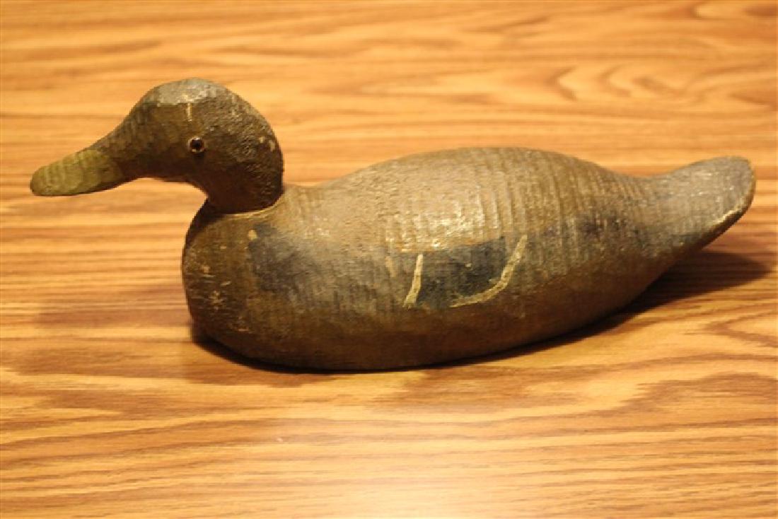 Animal Trap Company, Pascagoula, MS, glass eyes (1 of 2)