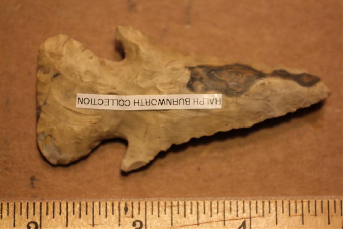 2 7/8" Flintridge Thebes arrowhead out of Ralph (1 of 3)