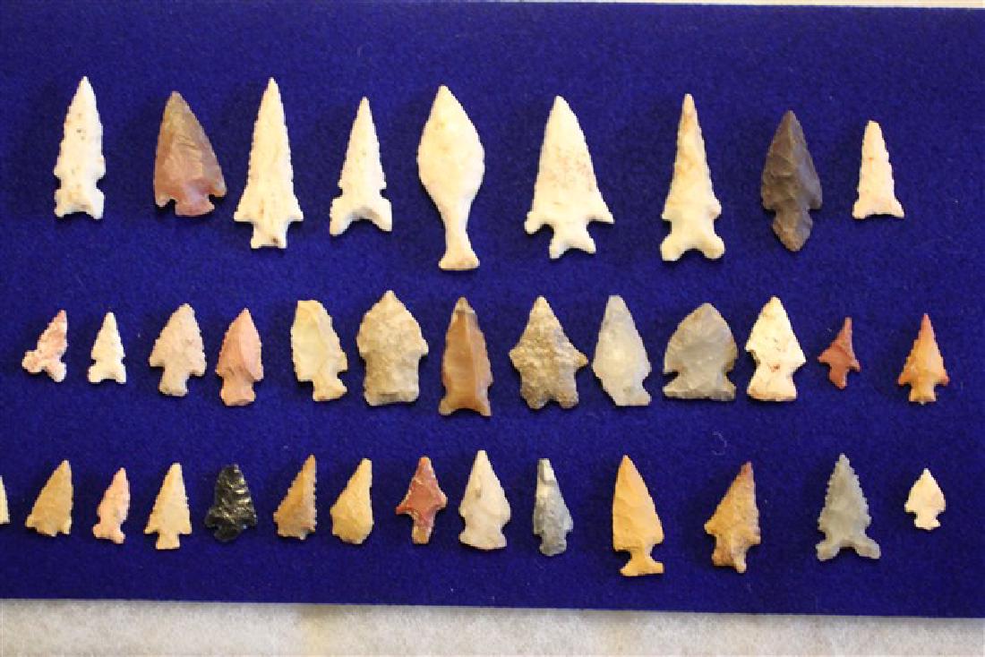 30 Bird Points, Jersey County, IL Ex Ready Collection (1 of 1)