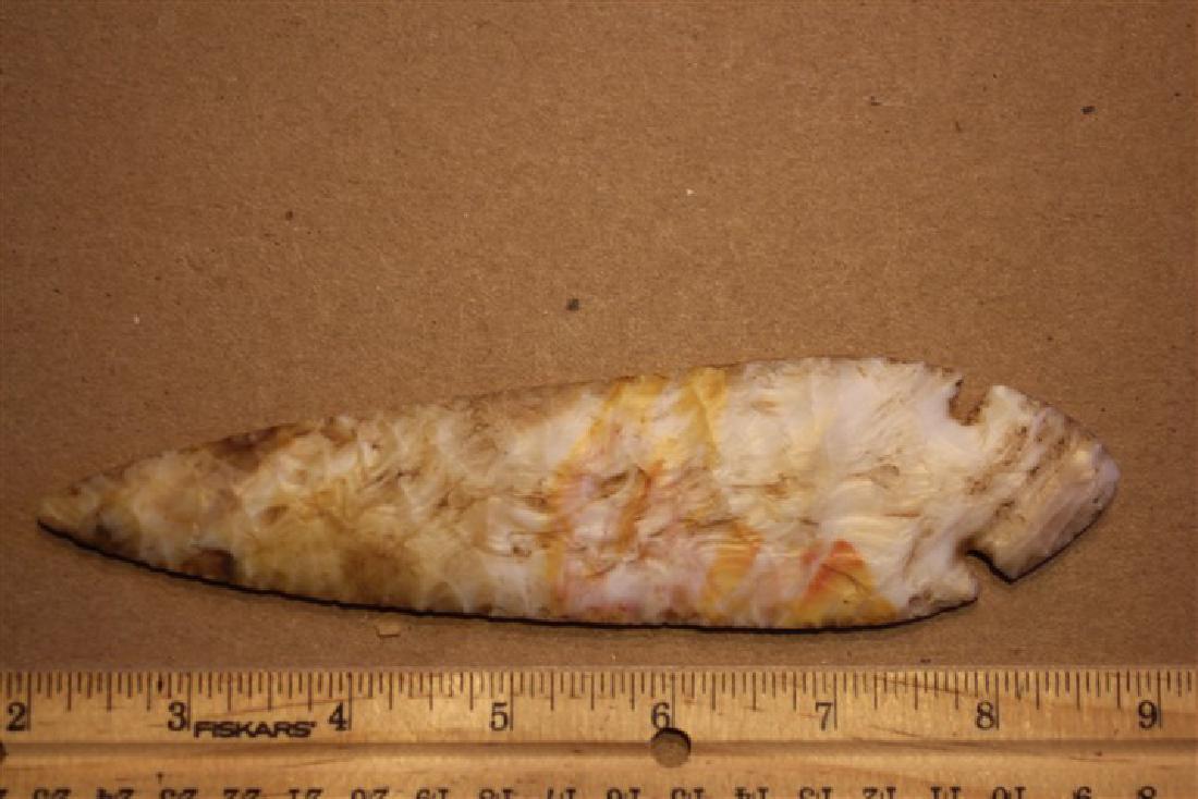 6 13/16"L Turkey Tail, Ballard Co., KY (1 of 2)