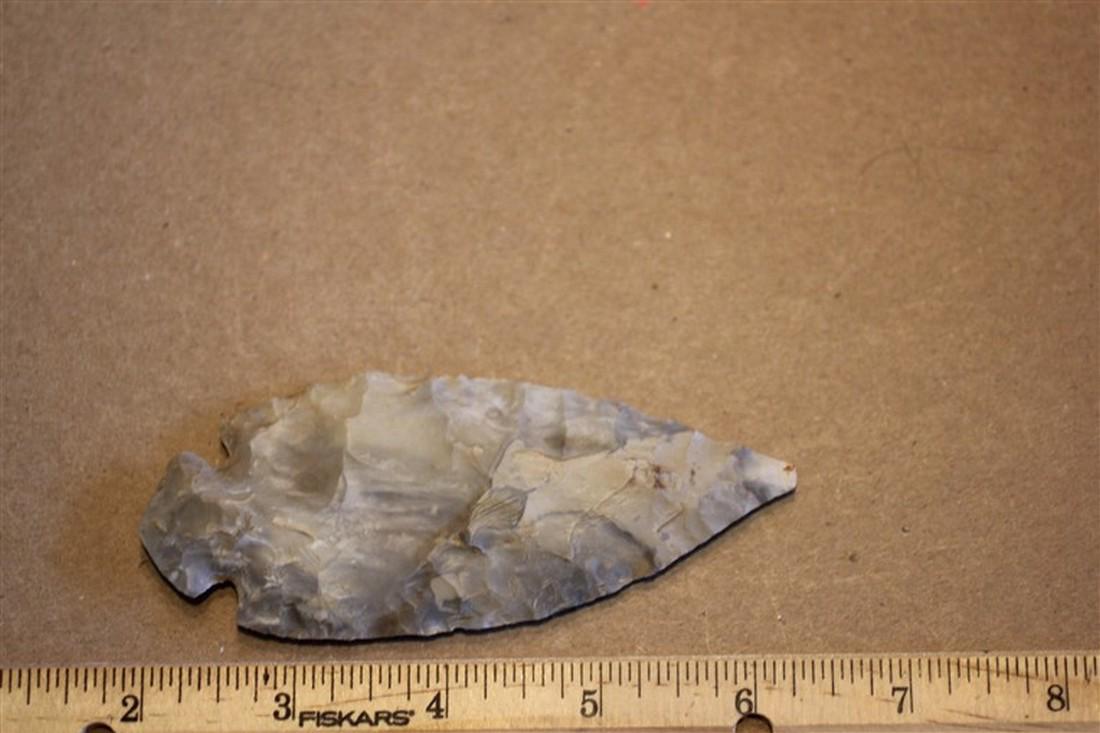 4 3/8" Turkey tail, Osage Beach, Missouri (1 of 2)