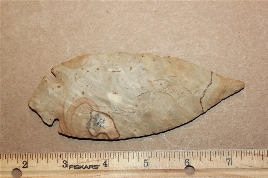 5 3/8" L Turkey Tail w/Natural Line Across Cache Tip, (1 of 2)