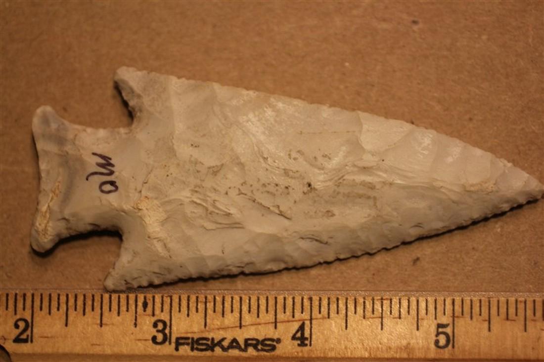 3 3/4" L Pine Tree, Missouri (1 of 2)