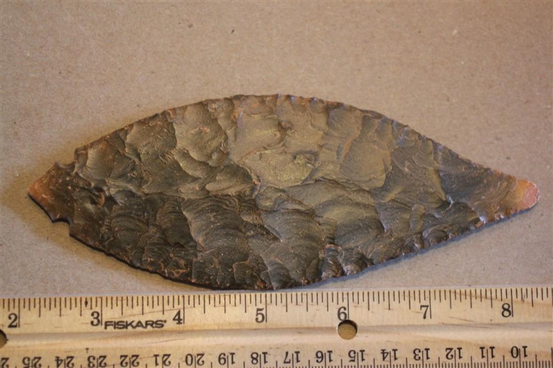 6 3/8" Turkey Tail, Posey Co, Indiana (1 of 1)