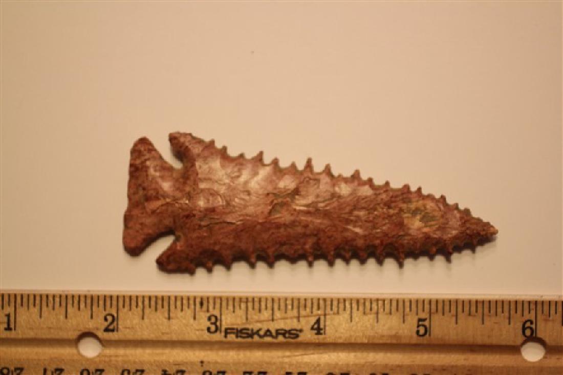 3 5/8" Pine Tree, Missouri (1 of 2)