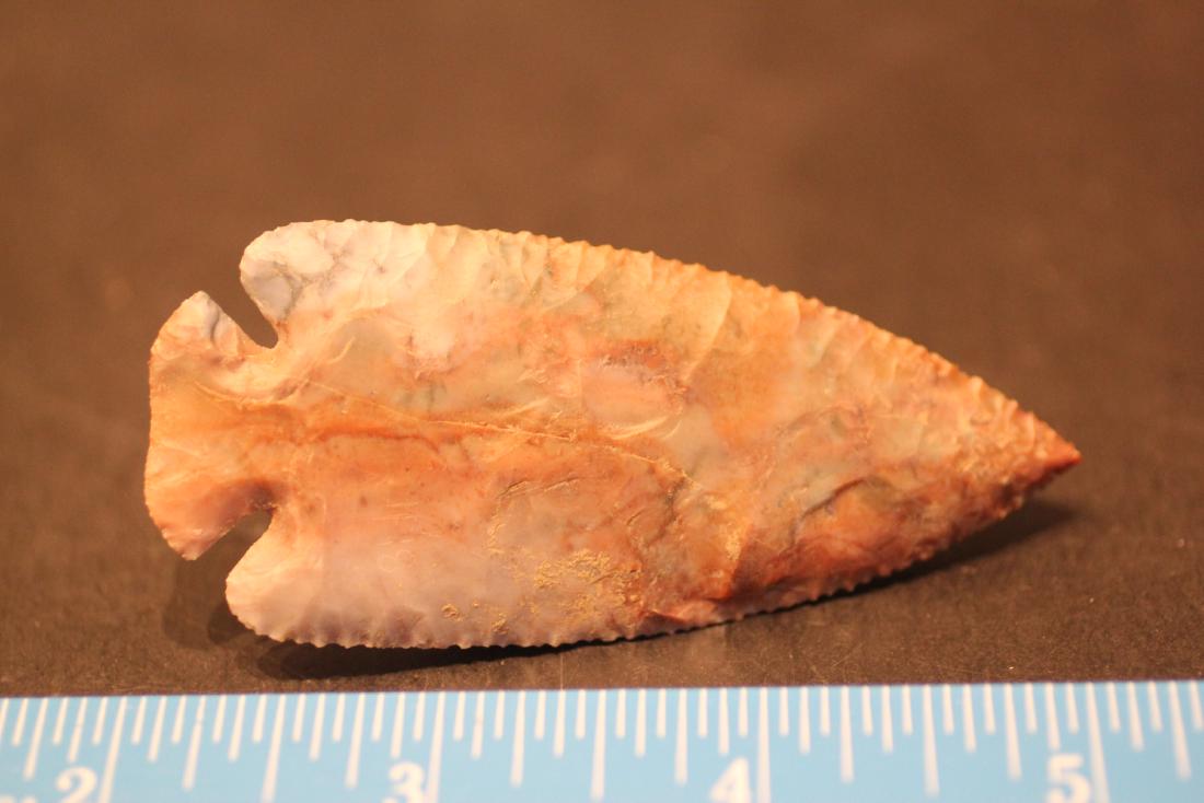 3"L Flint ridge Dovetail, Wayne Co., Ohio (1 of 2)